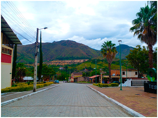 01 - Tesoros Silvestres - Quinara Calle Tesoro Escondido