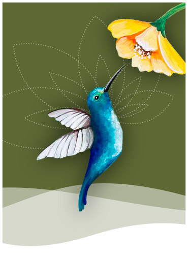 Metodología Huella Silvestre