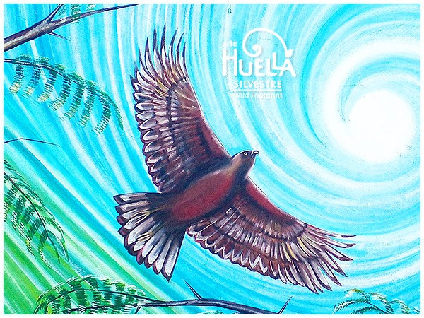 01 - Tesoros Silvestres - Quinara aguila