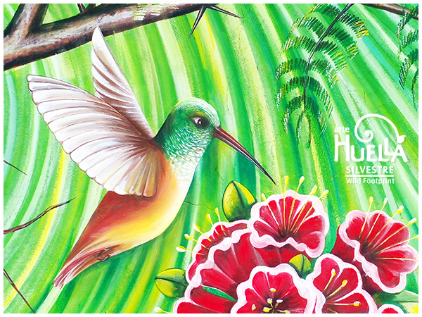 01 - Tesoros Silvestres - Quinara colibrí