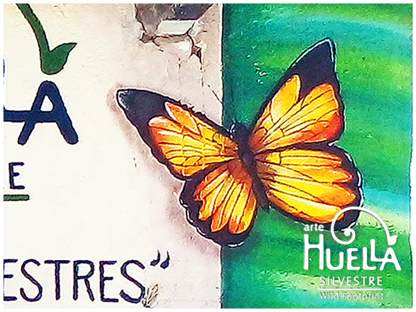 01 - Tesoros Silvestres - Quinara mariposa