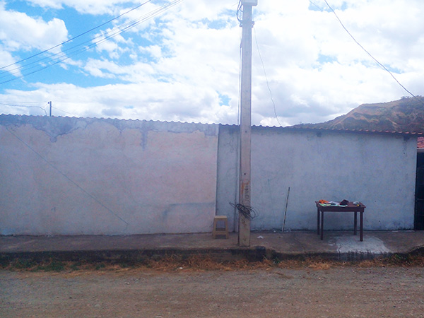 01 - Tesoros Silvestres - Quinara ts 02 proceso