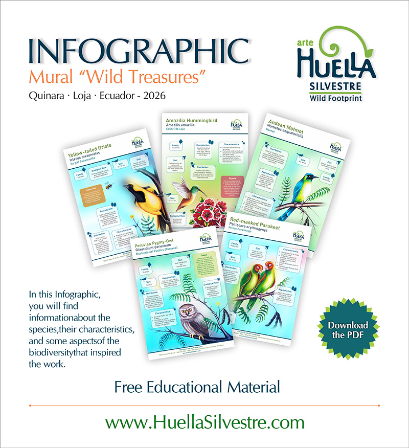 ts en promocional infografía