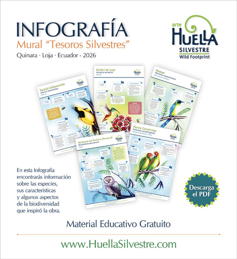 ts promocional infografía